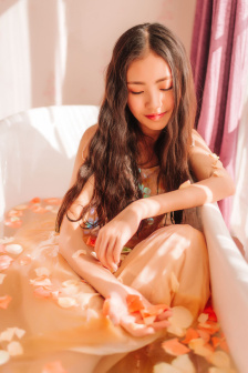 Lady宝石宠物